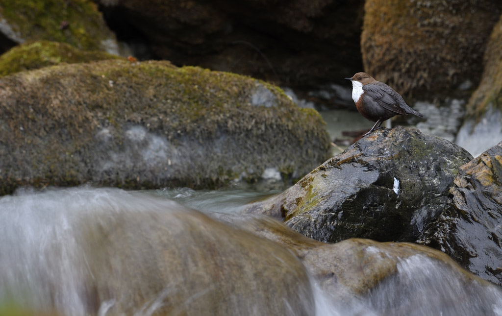-DS5_9697.jpg
