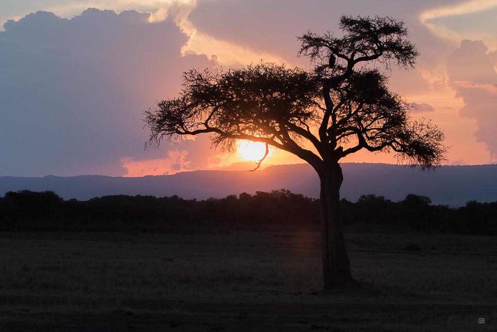 Paysage-10.jpg