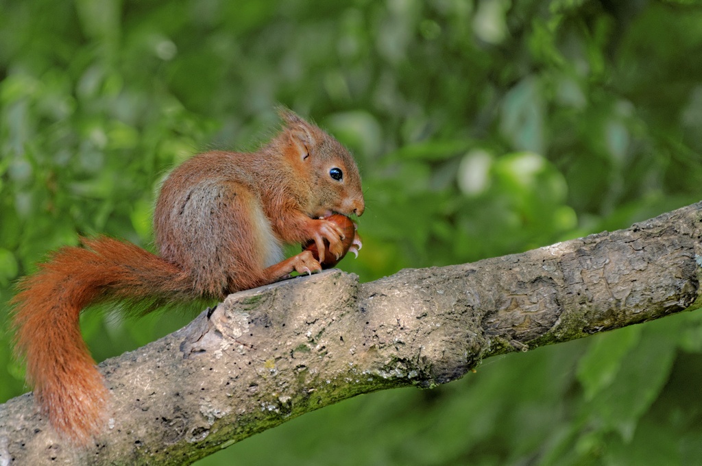 DSC_2504.jpg
