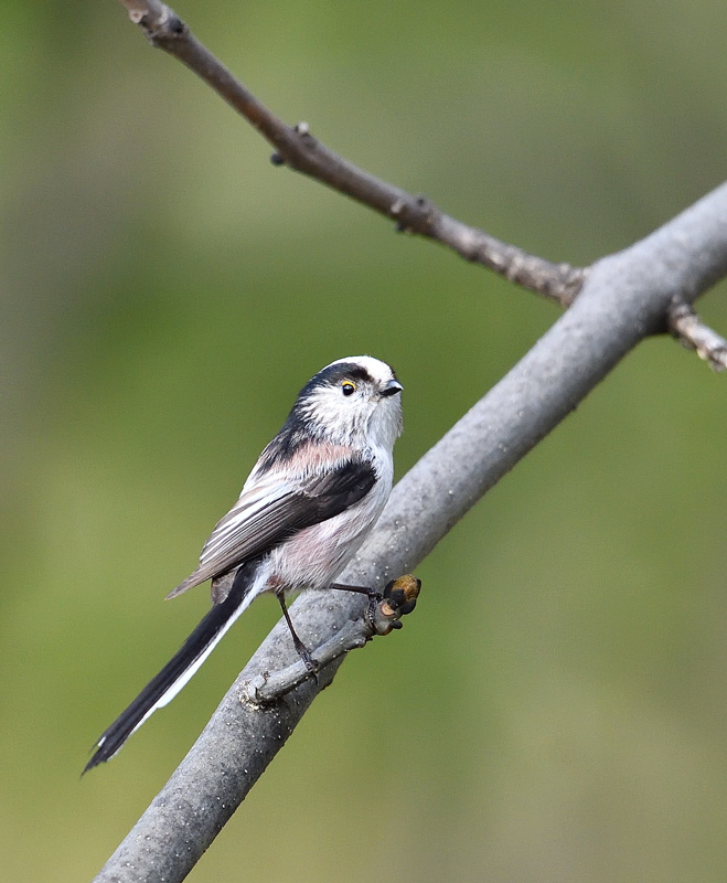 DS5_0274.jpg