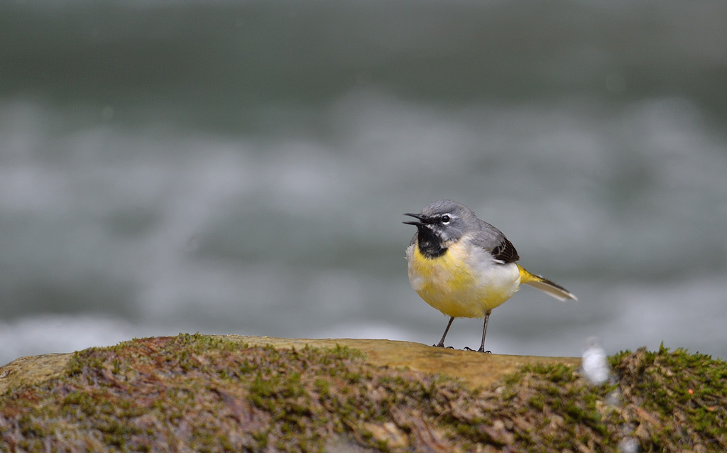 DS5_9467.jpg