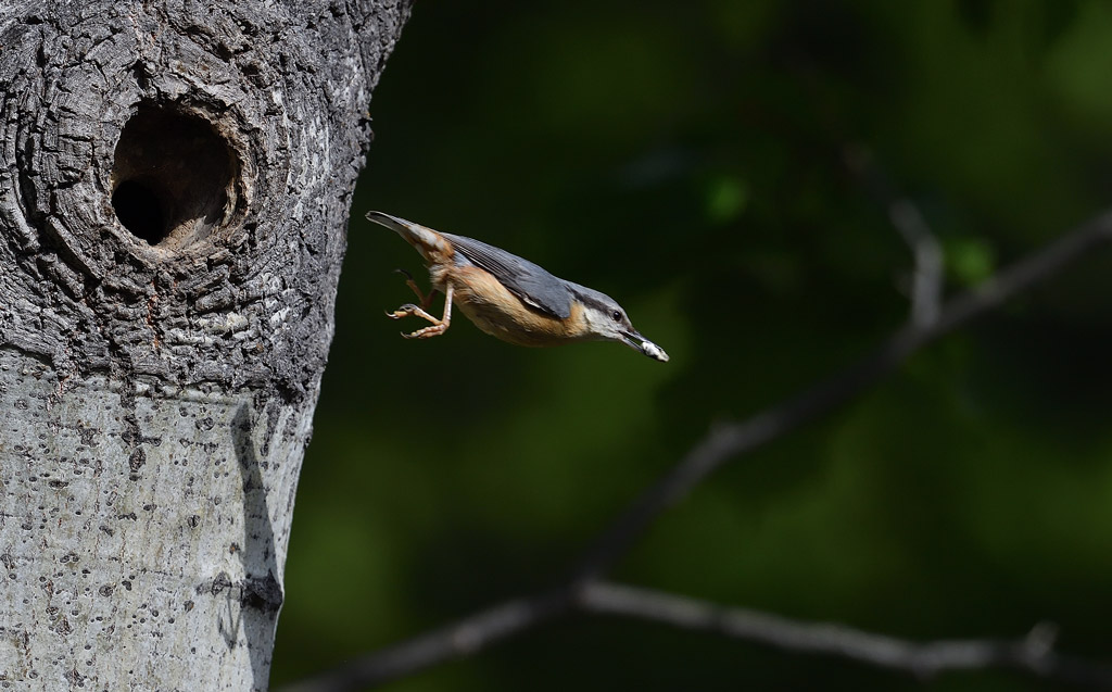 DS5_1673.jpg