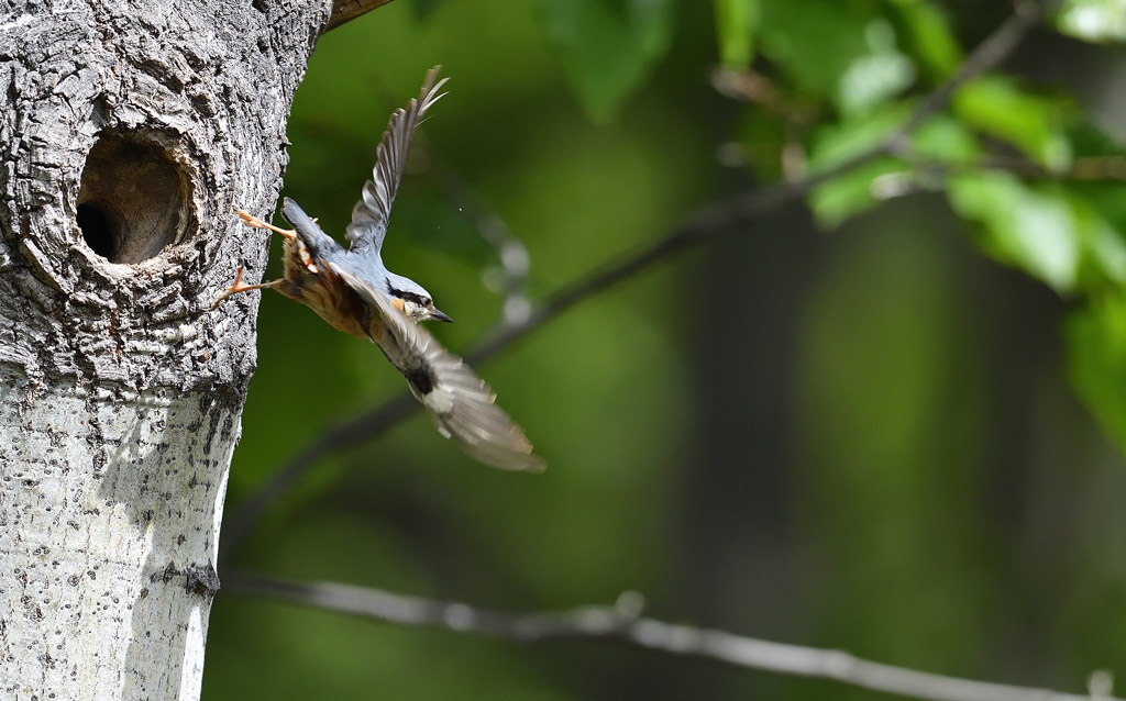DS5_1770.jpg