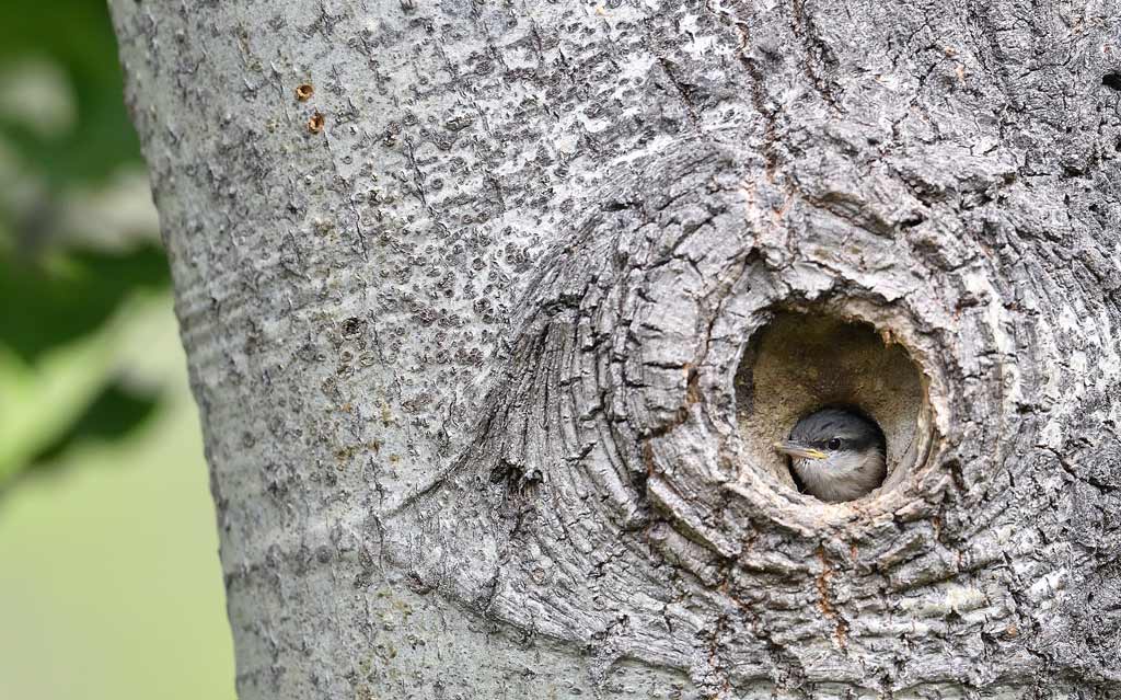 DS5_3058.jpg