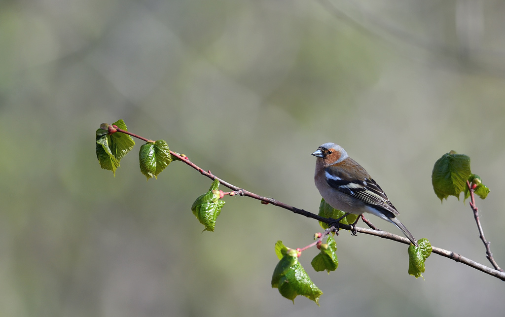 DS5_0159.jpg