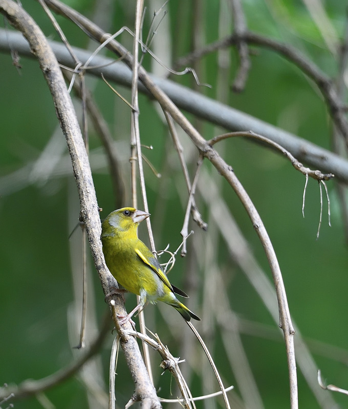 DS5_4284.jpg