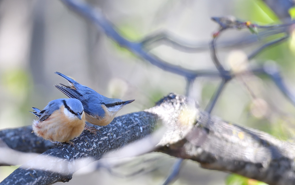 DS5_0051.jpg