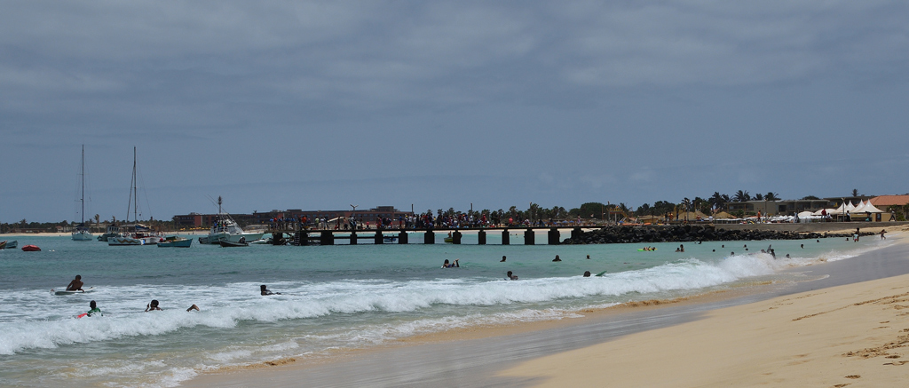 DSC_3303.jpg