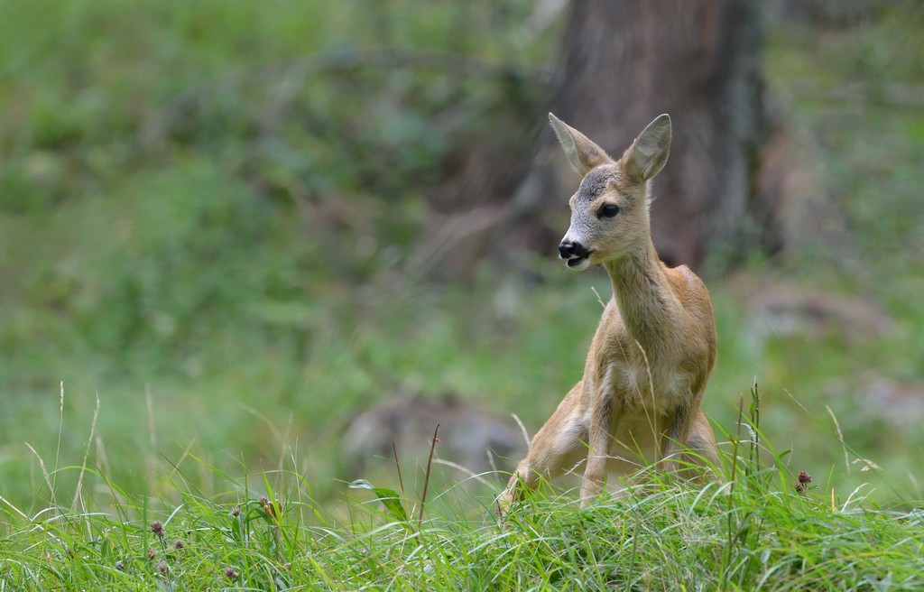 7-DSC_1281--.jpg