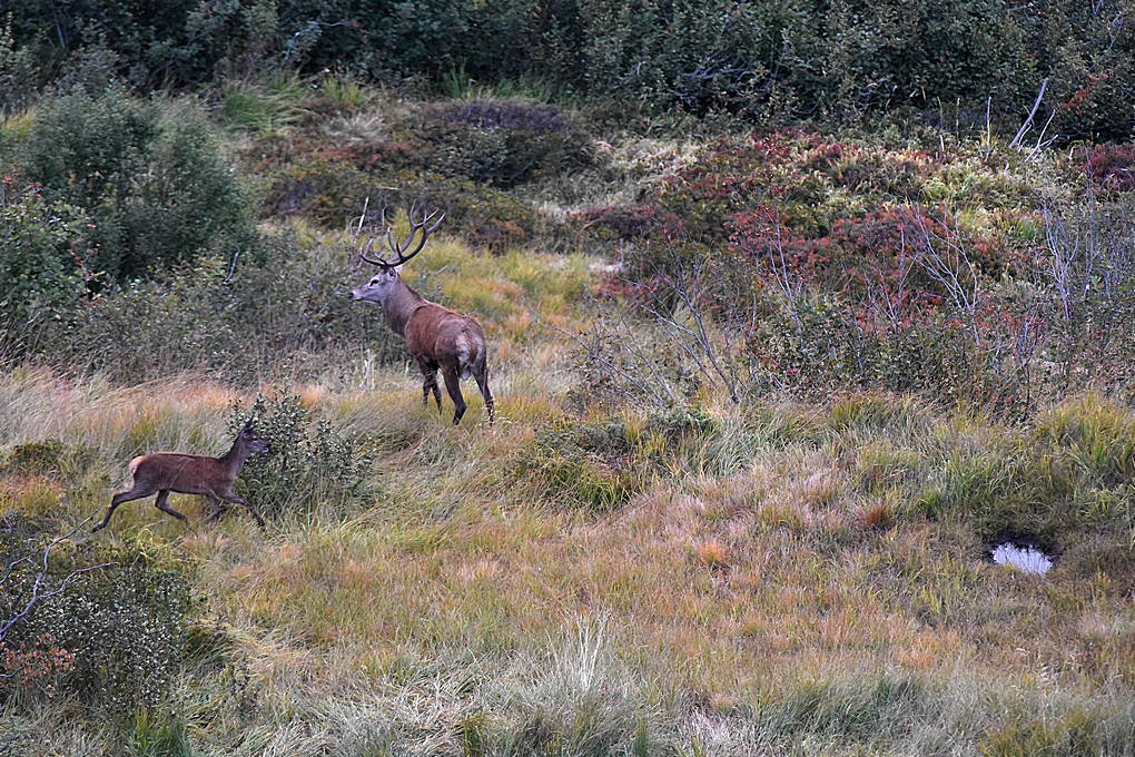 DSC_6599.jpg