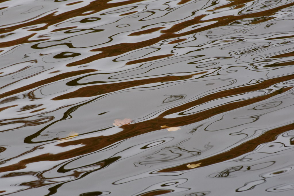 D75_6686_1024.JPG