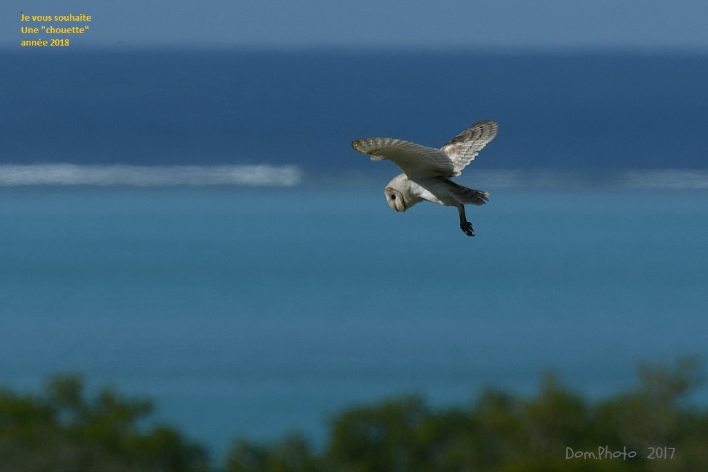 DSC_7882IN.jpg