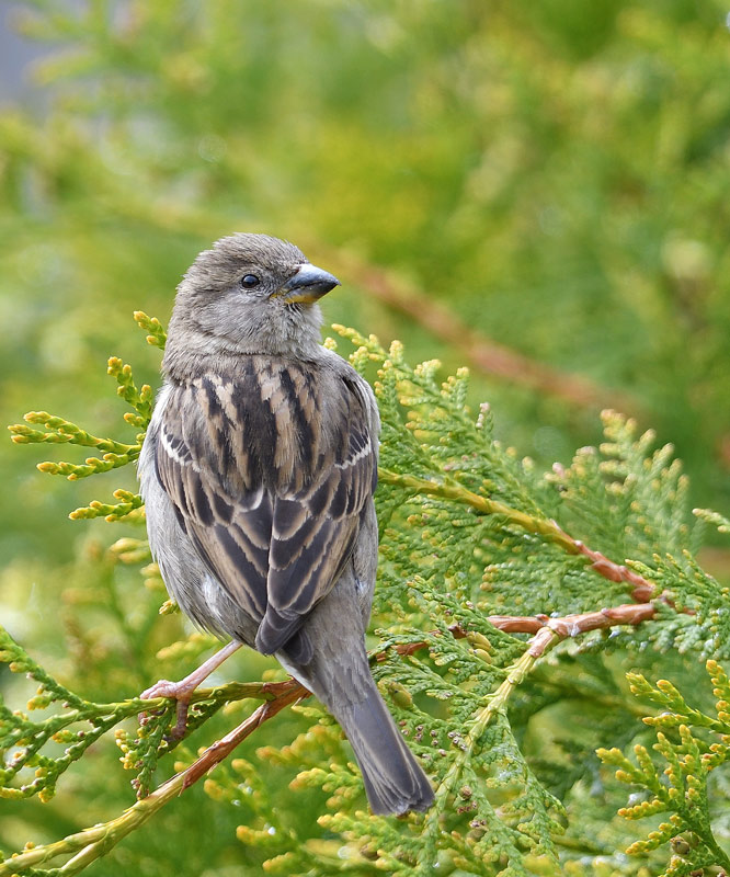 DSC_0719.jpg