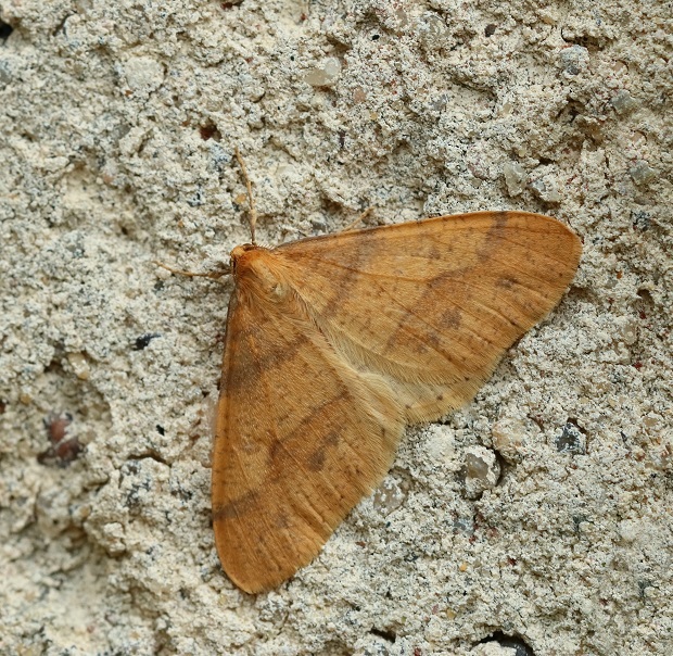 IMG_6853X3.jpg