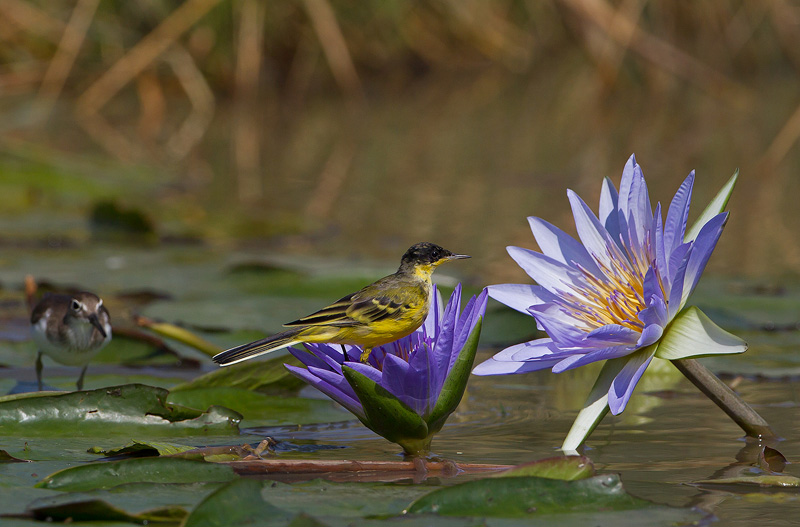 75403473Y7892.jpg