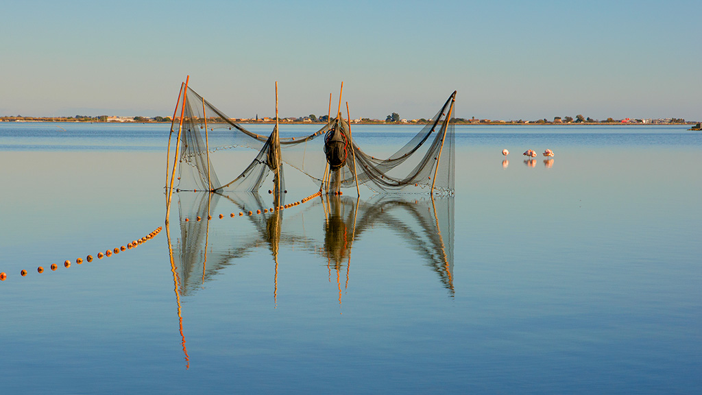 Etang calme.jpg-w.jpg