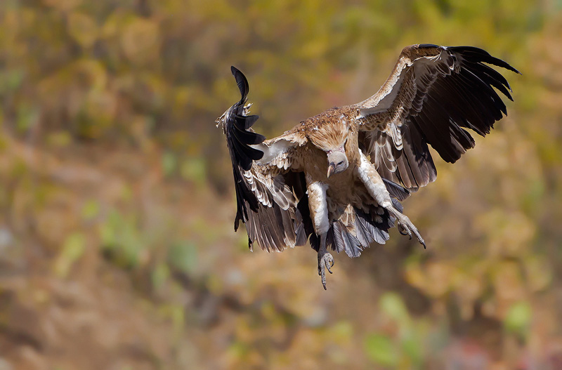 160228085231561790.jpg