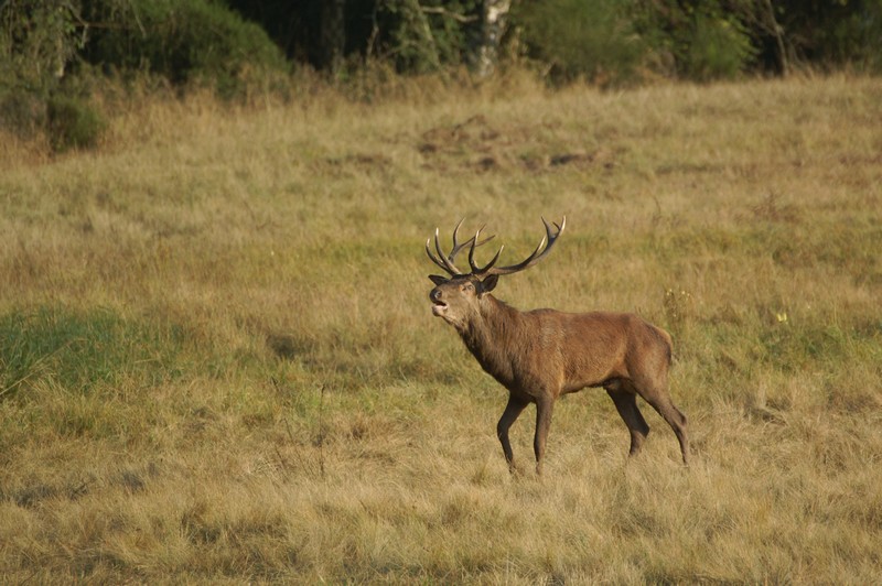 PICT0780.JPG
