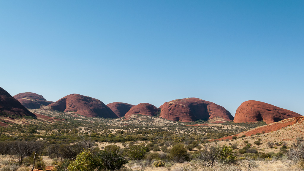 DSC_1266.jpg