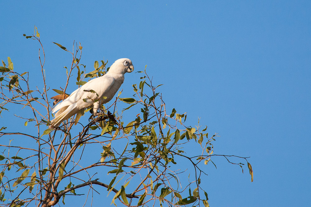 DSC_2560.jpg