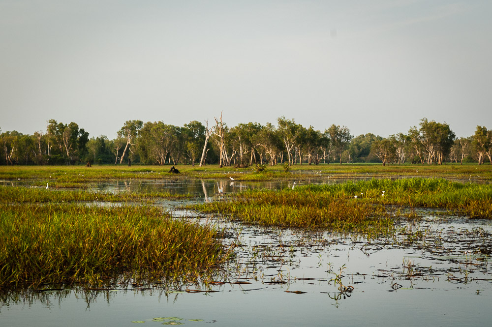 DSC_2589.jpg