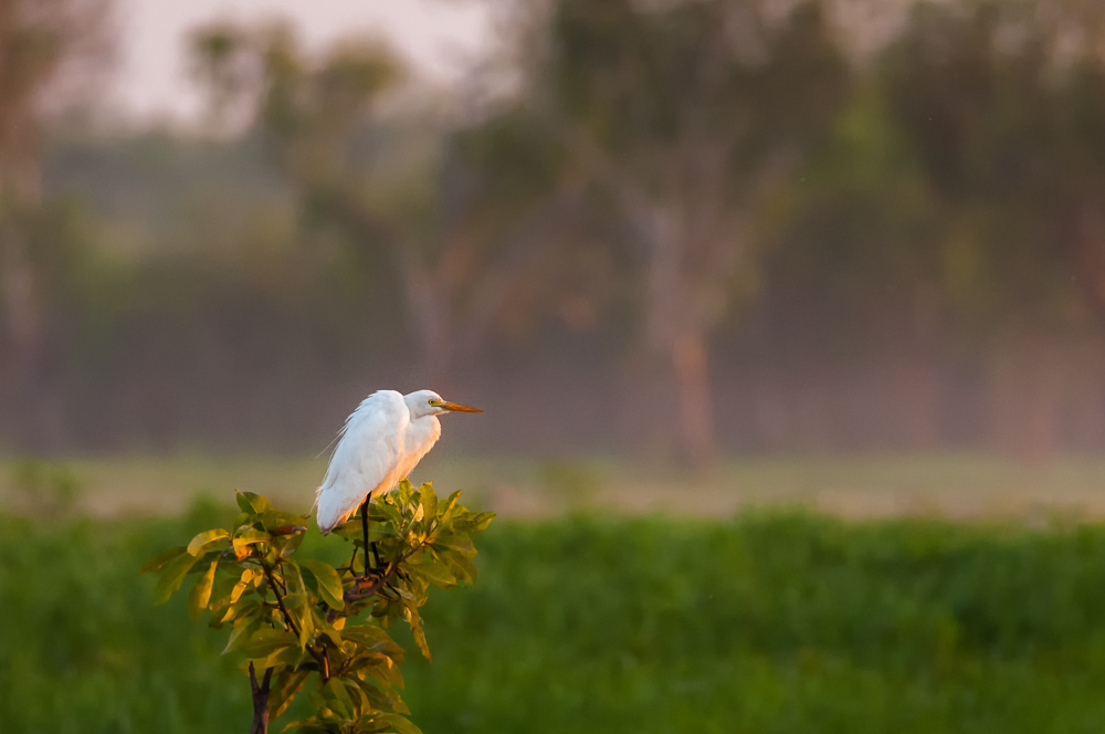 _DSC1672-Modifier-Modifier.jpg
