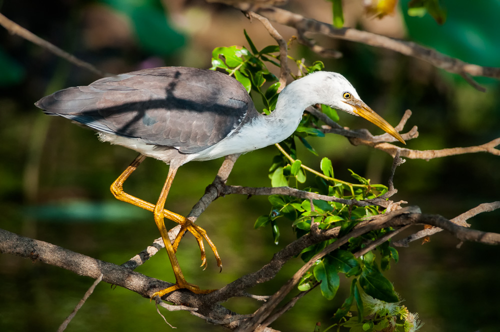DSC_1920.jpg