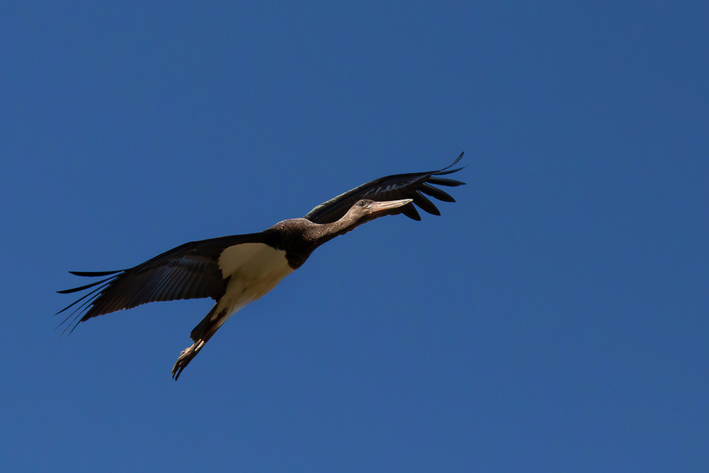 IMG_8327.jpg