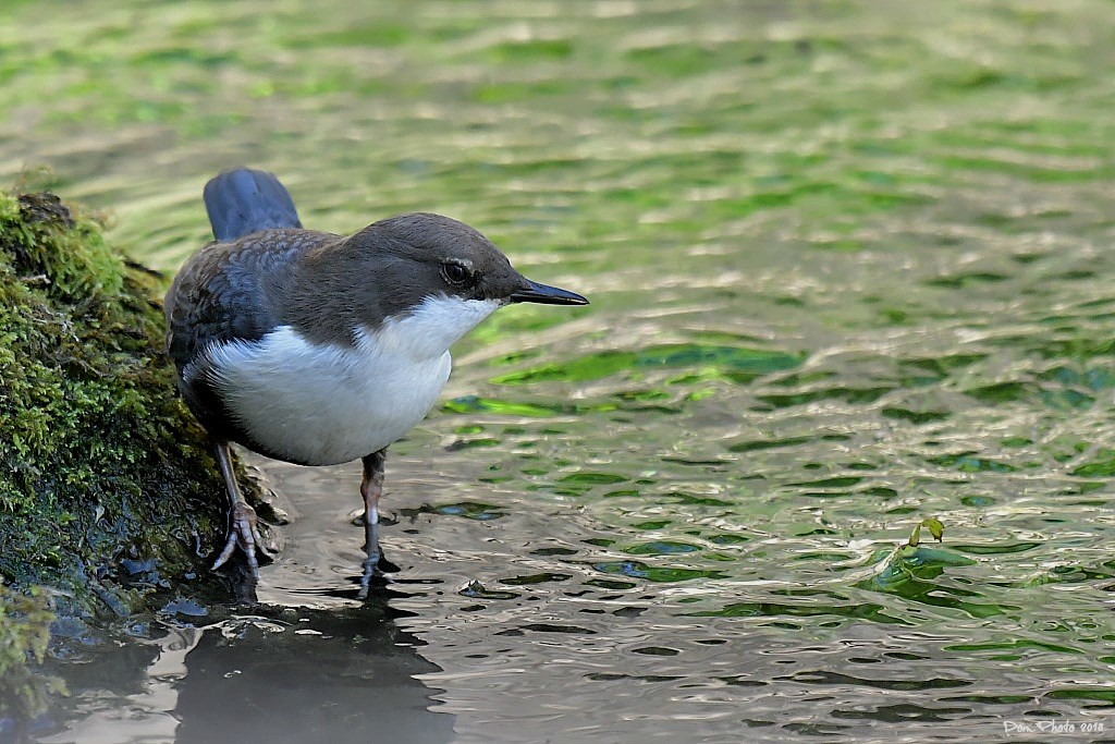 DSC_6953IN.jpg
