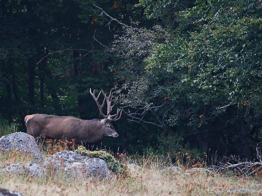 6257 sep co .jpg