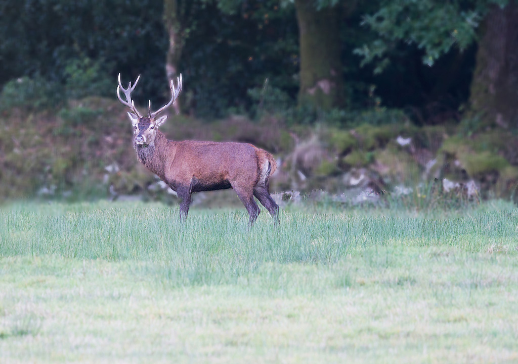 IMG_6112-1IN.jpg