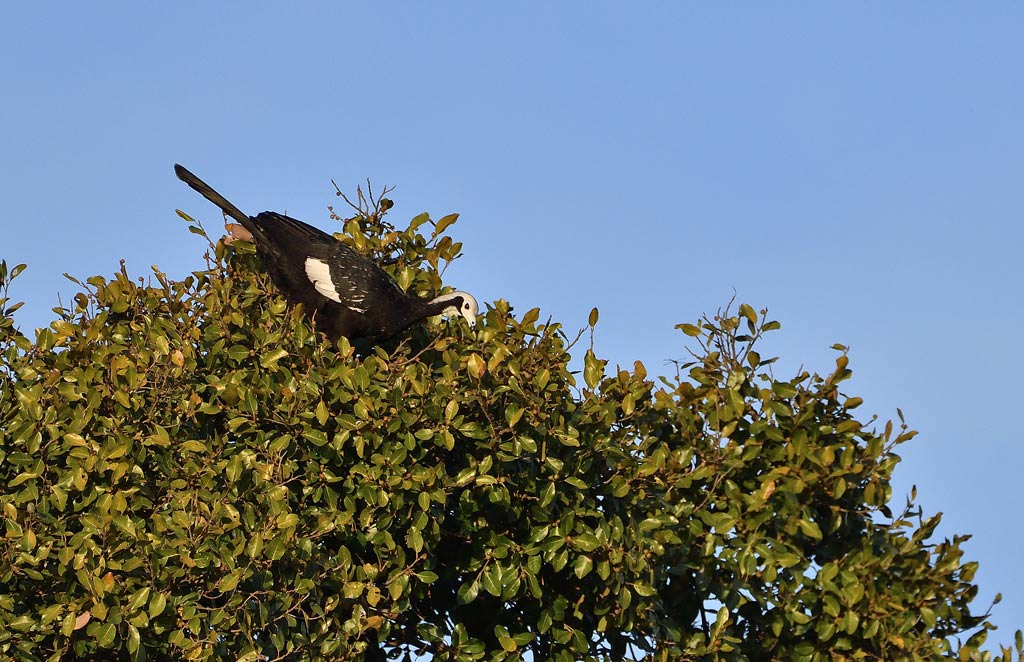 DSC_8931.jpg