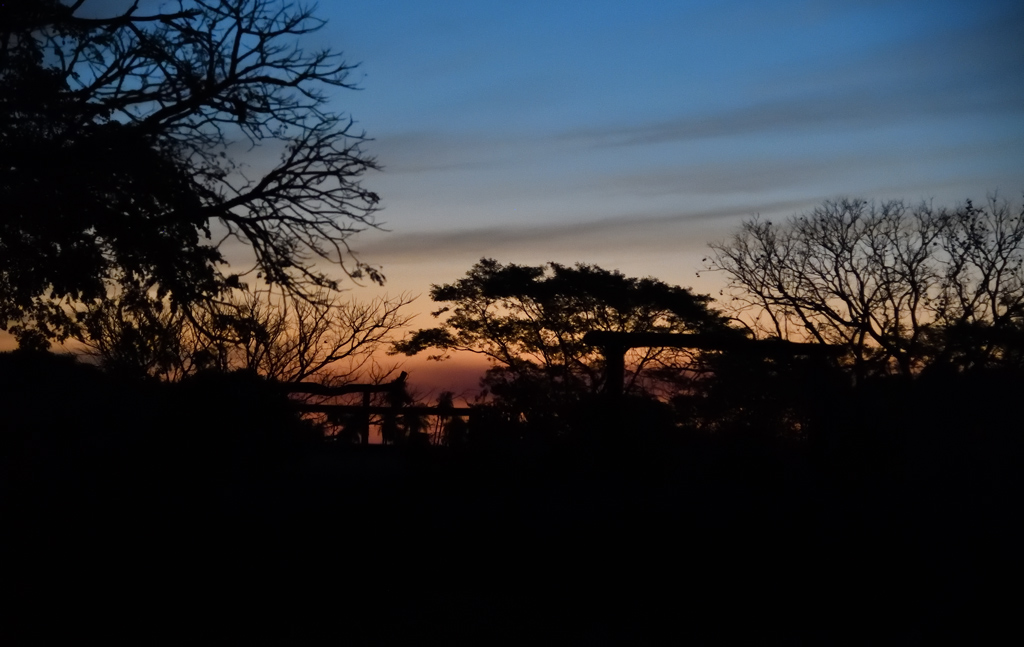 DS5_5183.jpg