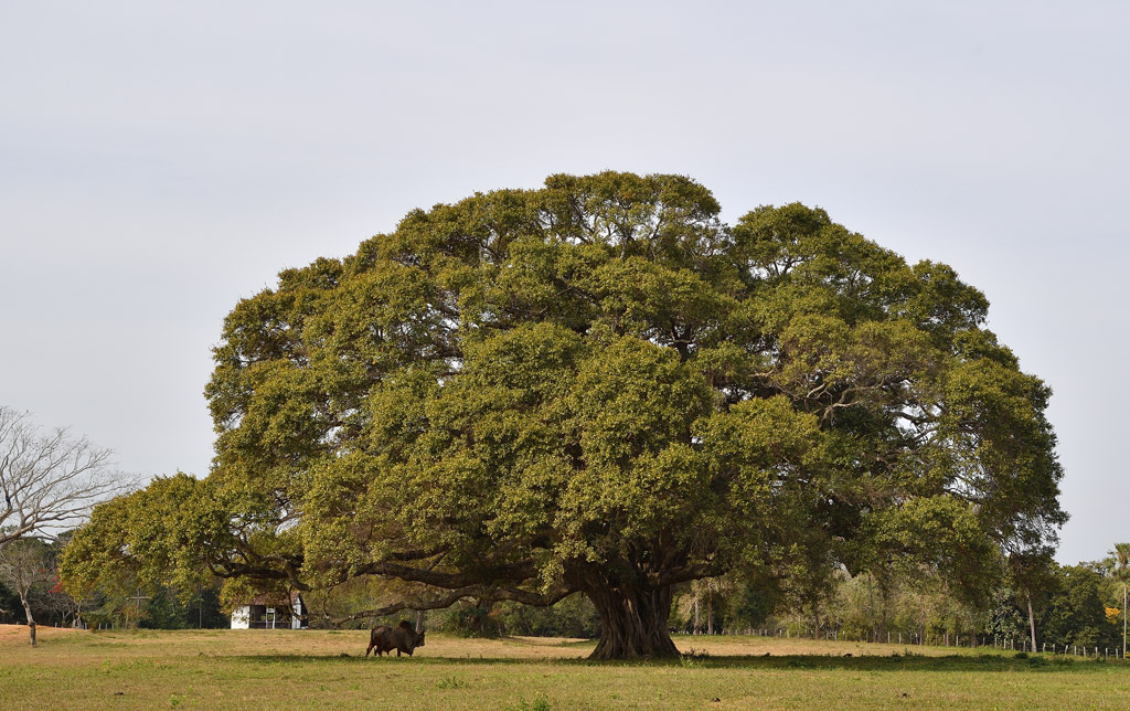 DS5_5235.jpg