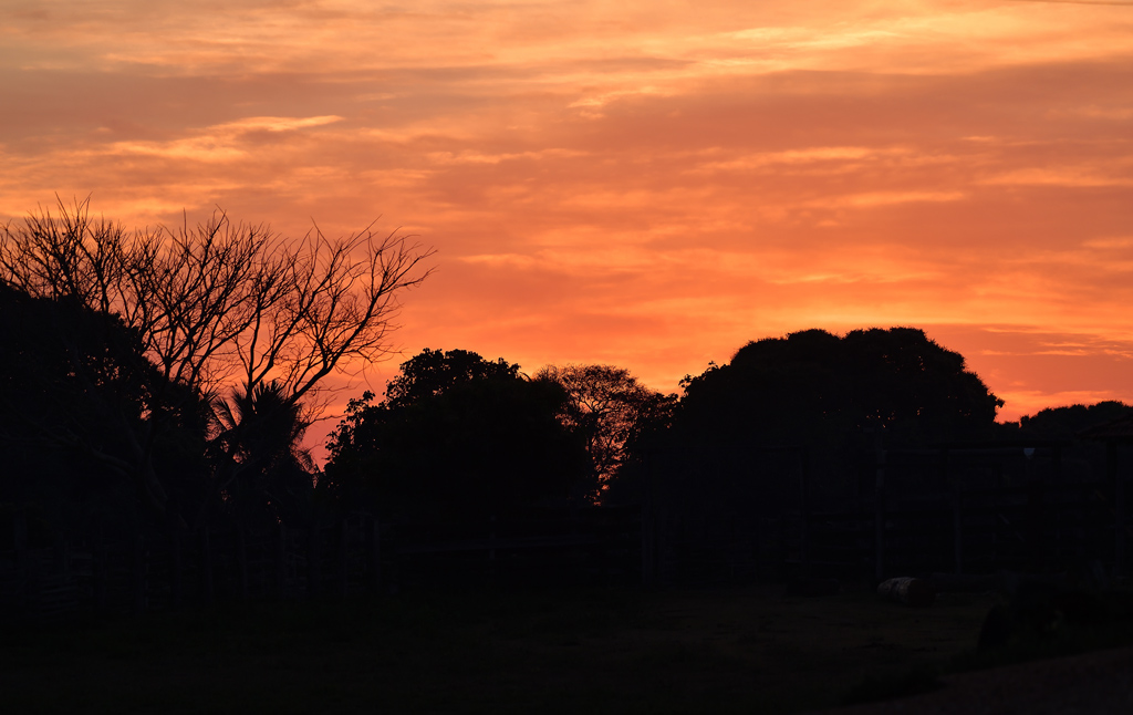 DS5_5338.jpg