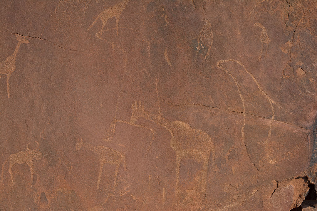 101-otaries et autres.jpg
