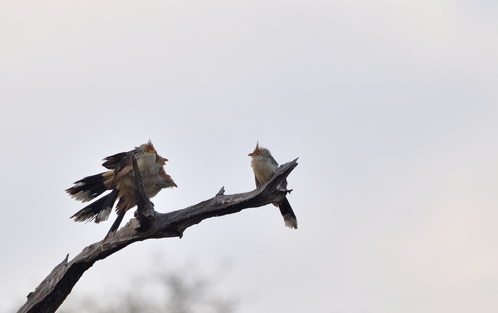 DS5_5385.jpg