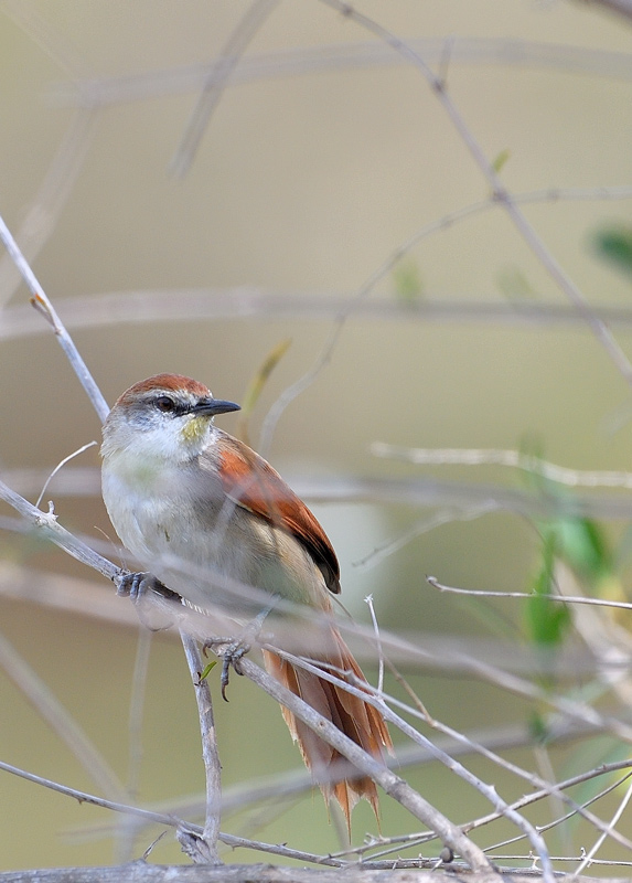DS5_5572.jpg