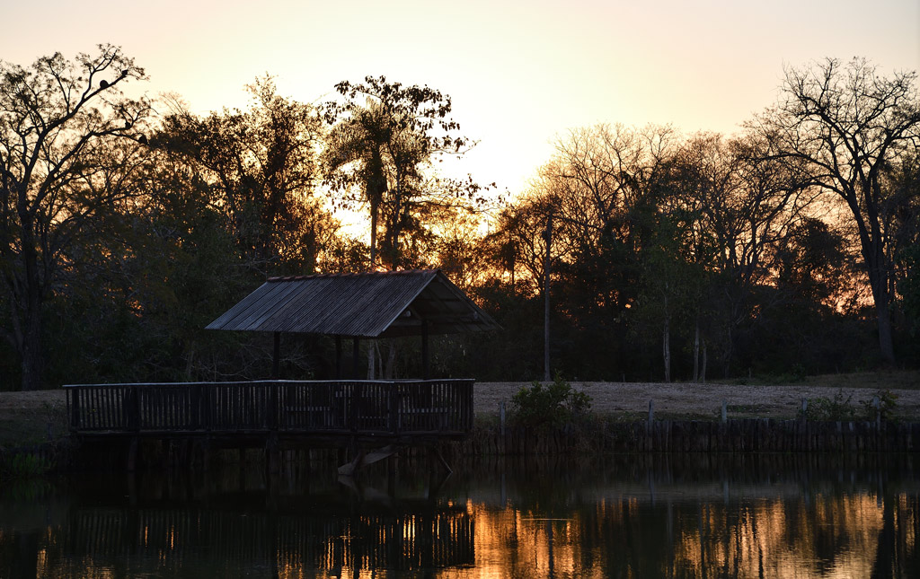 DS5_5263.jpg