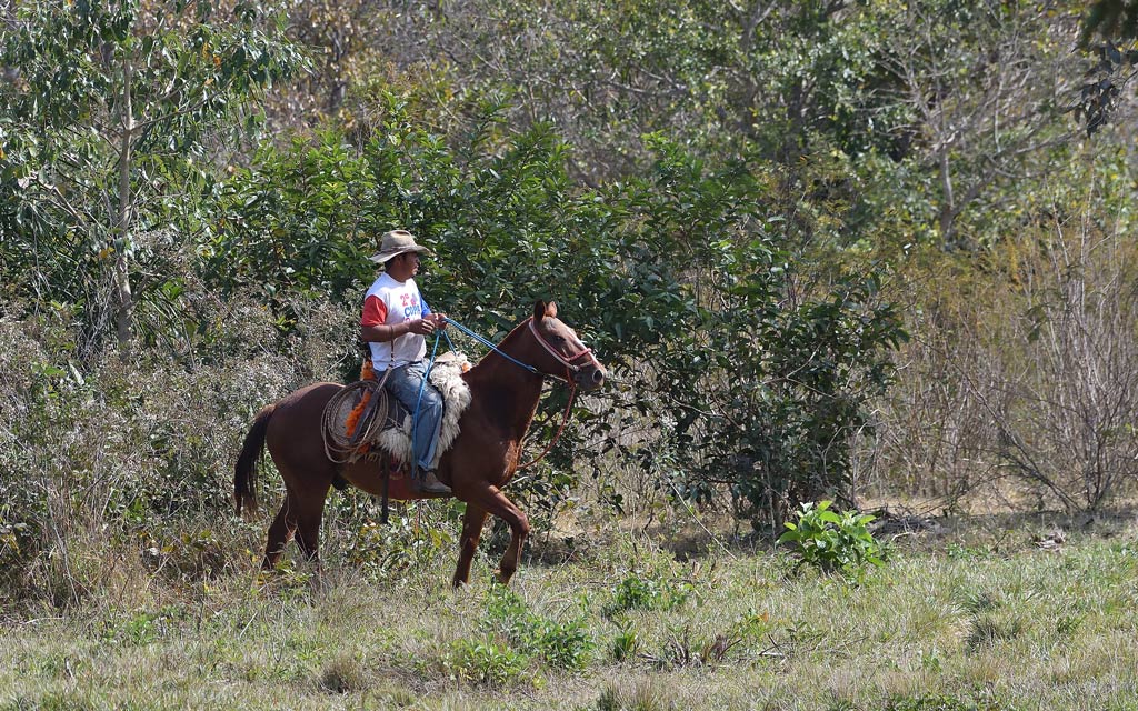 DSC_9573.jpg