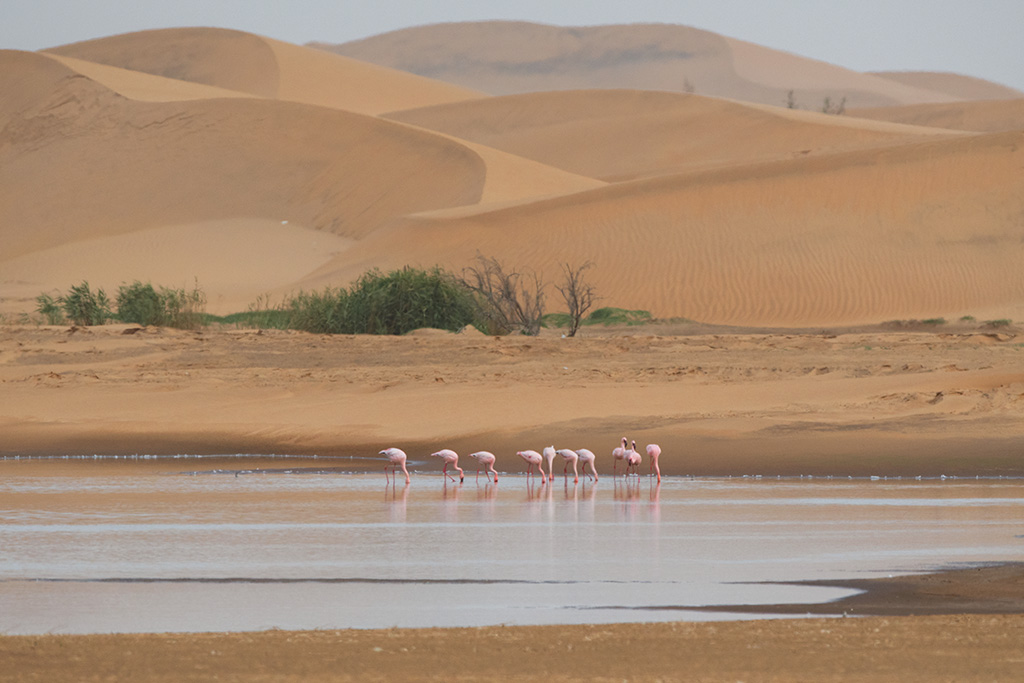 122-Entre Swakopmund et Walvis Bay.jpg
