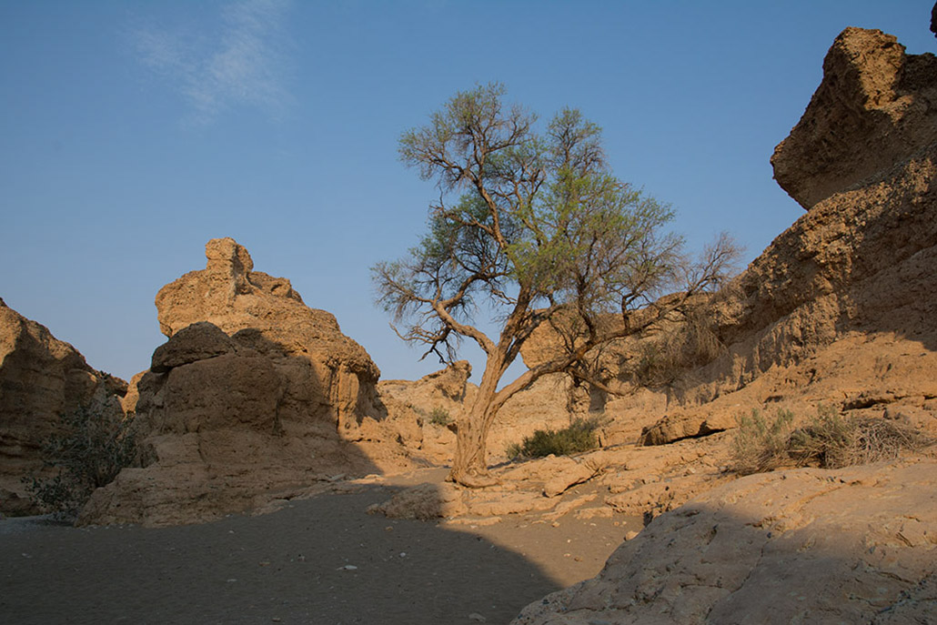 184-Canyon de Sesriem.jpg