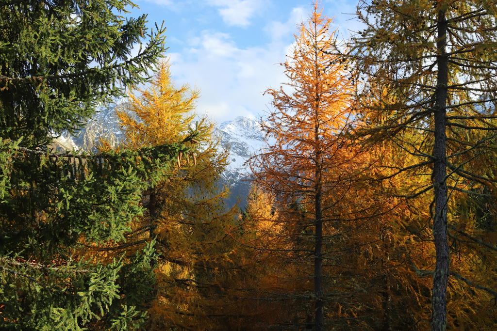 Ambiance automne Belledonne I&N.JPG