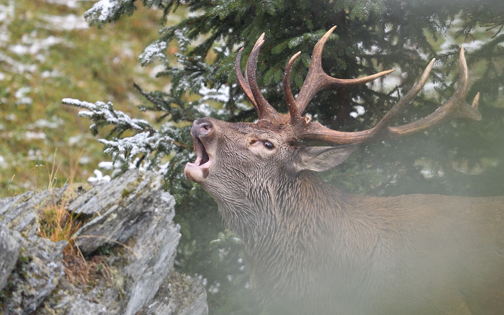 DS5_6980.jpg