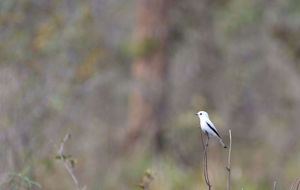 DS5_5586.jpg