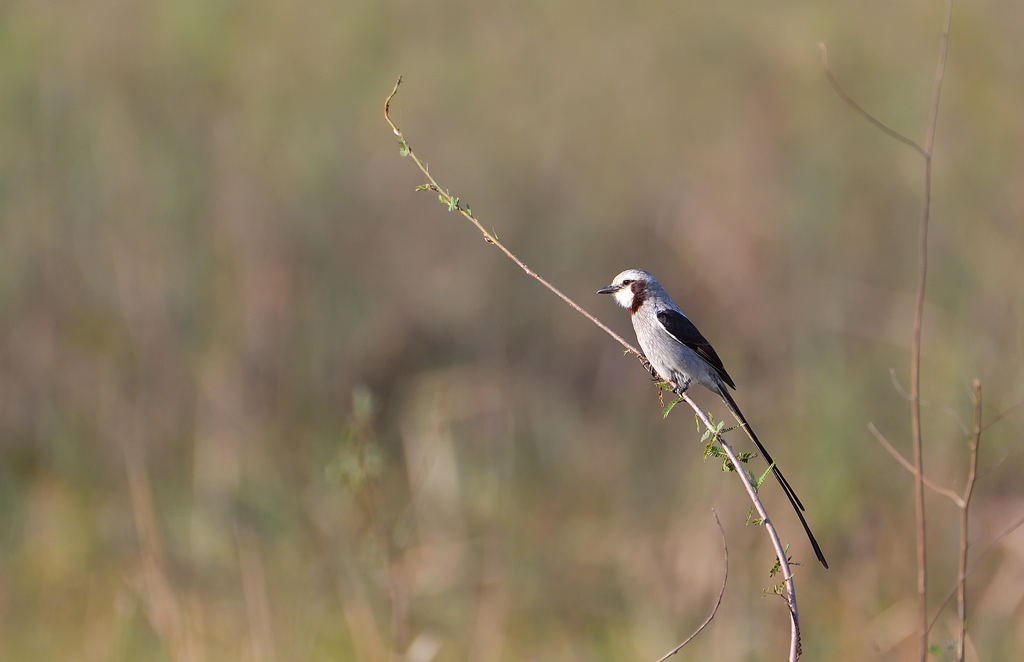 DS5_5972.jpg