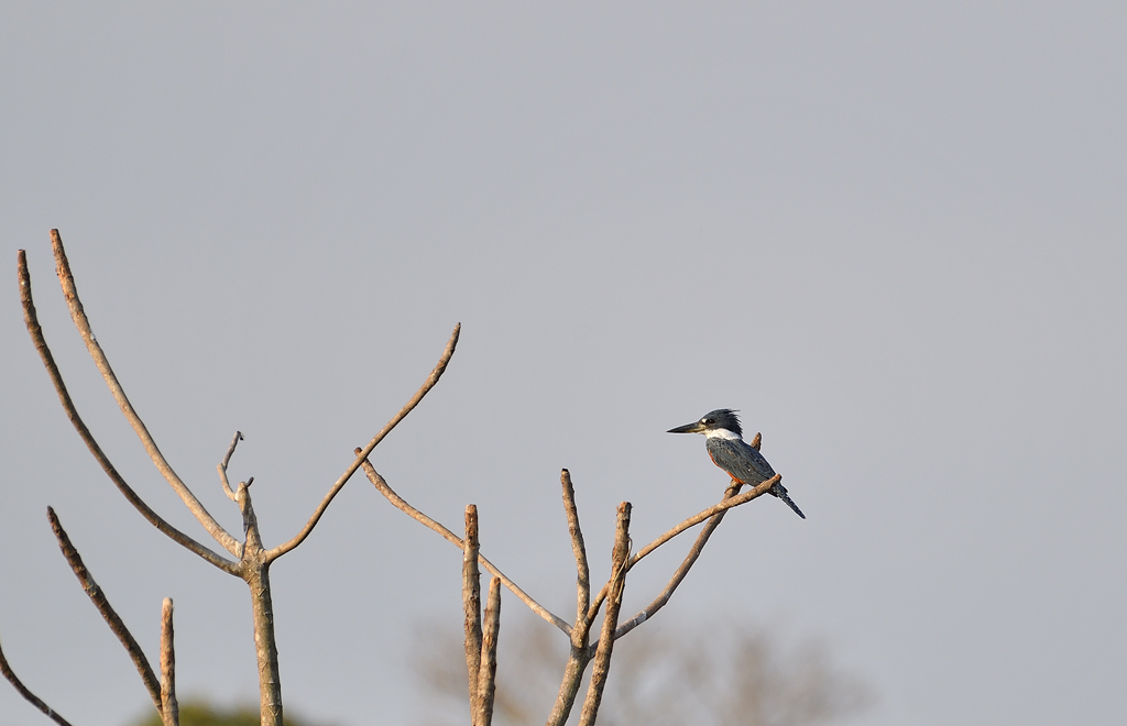 DS5_6014.jpg