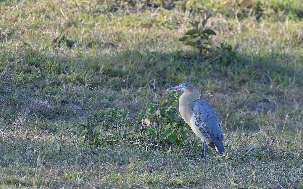 DSC_9836.jpg
