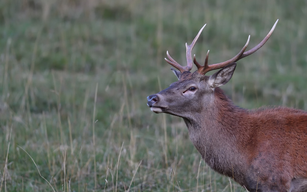 -DS5_6612.jpg