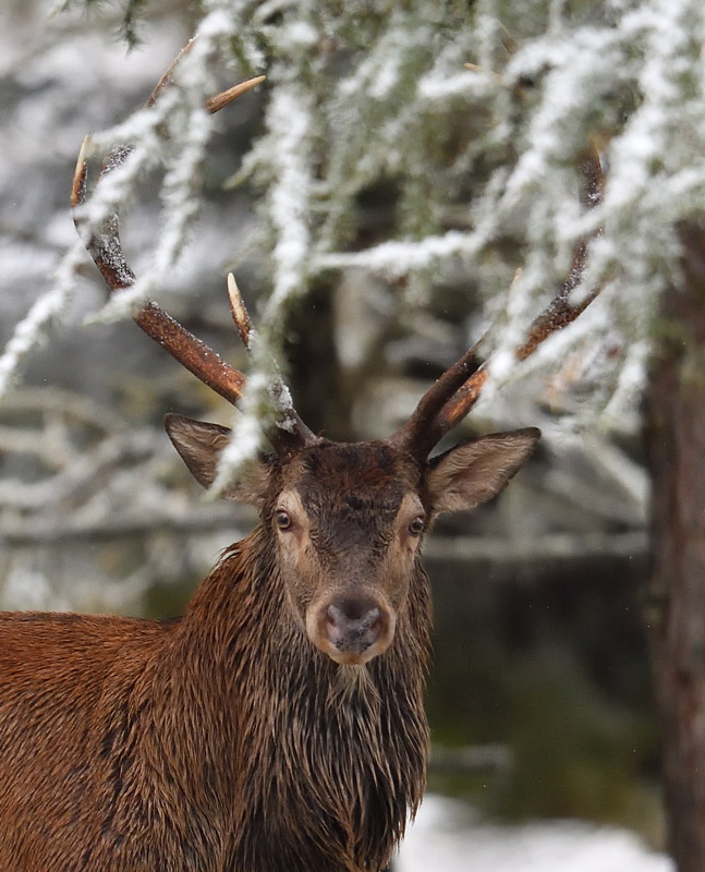 DS5_6968.jpg